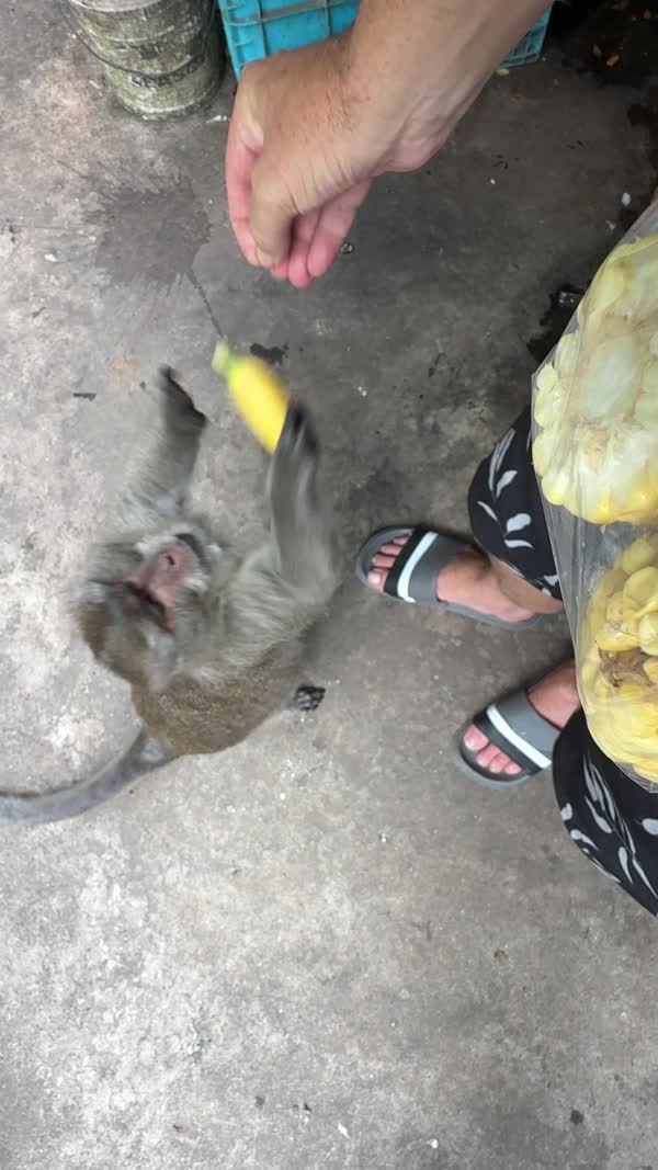 Thailand May 2026
