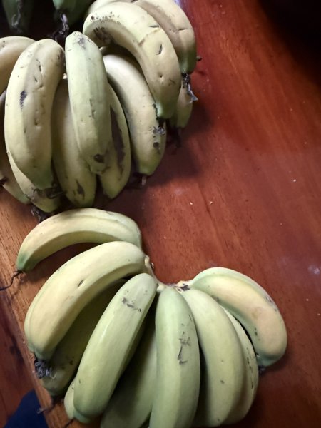 Banana daily pics