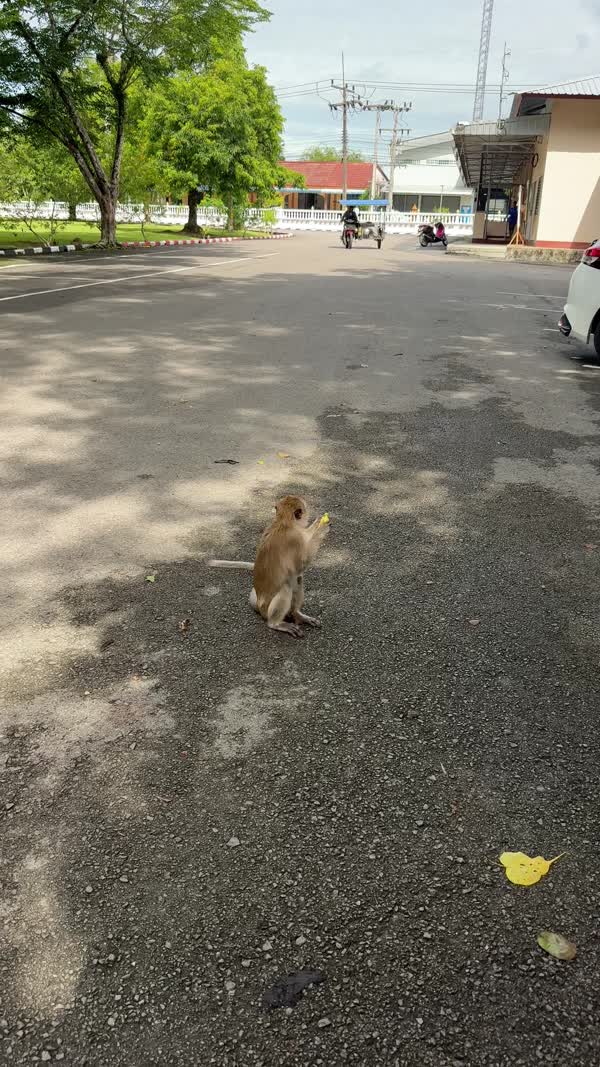 Thailand May 2026