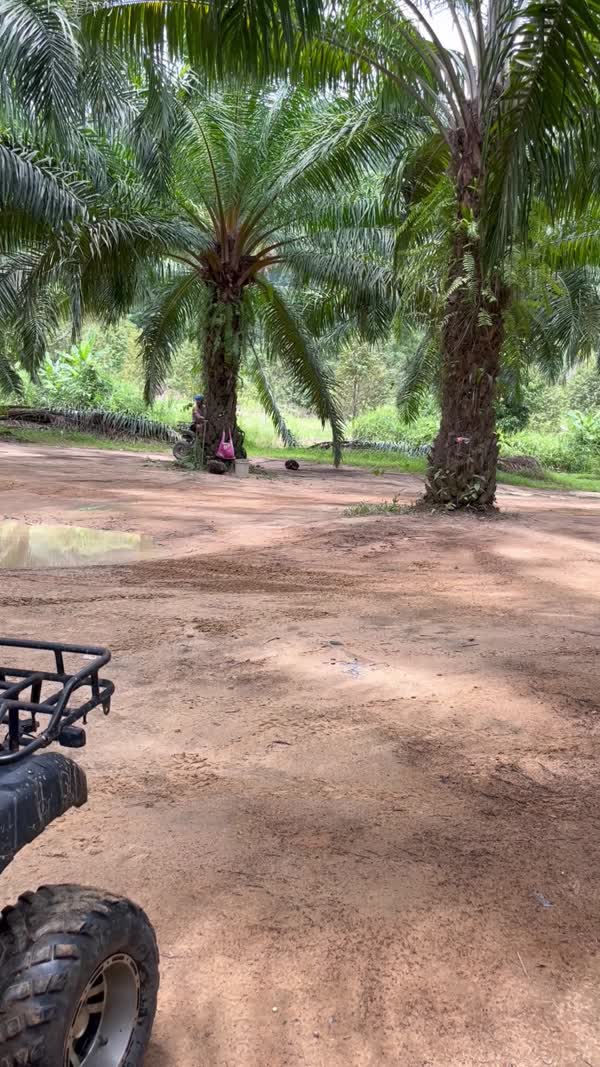 Thailand May 2026