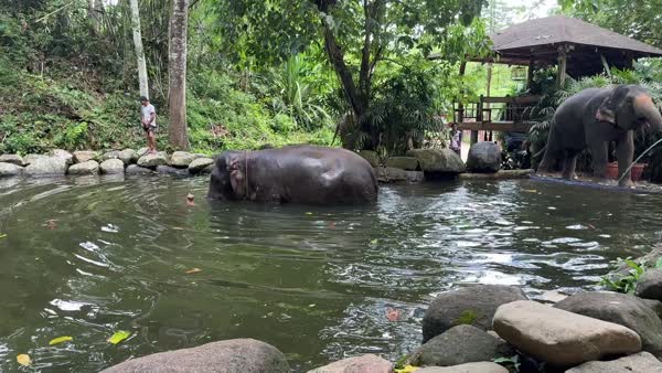 Thailand May 2026