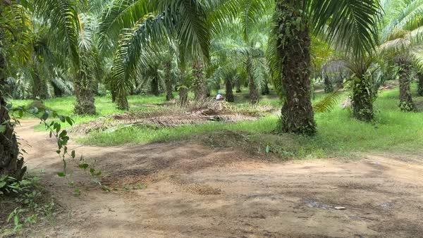 Thailand May 2026