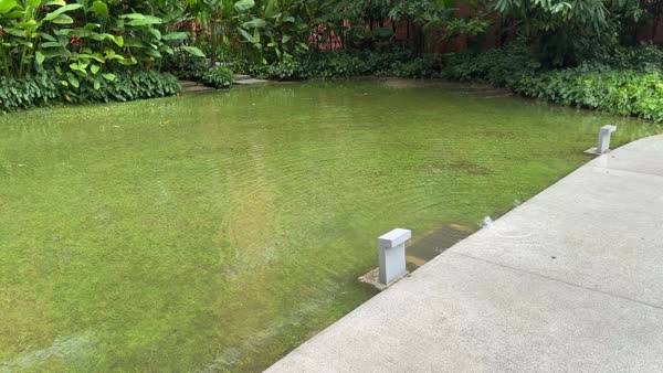 Thailand May 2026