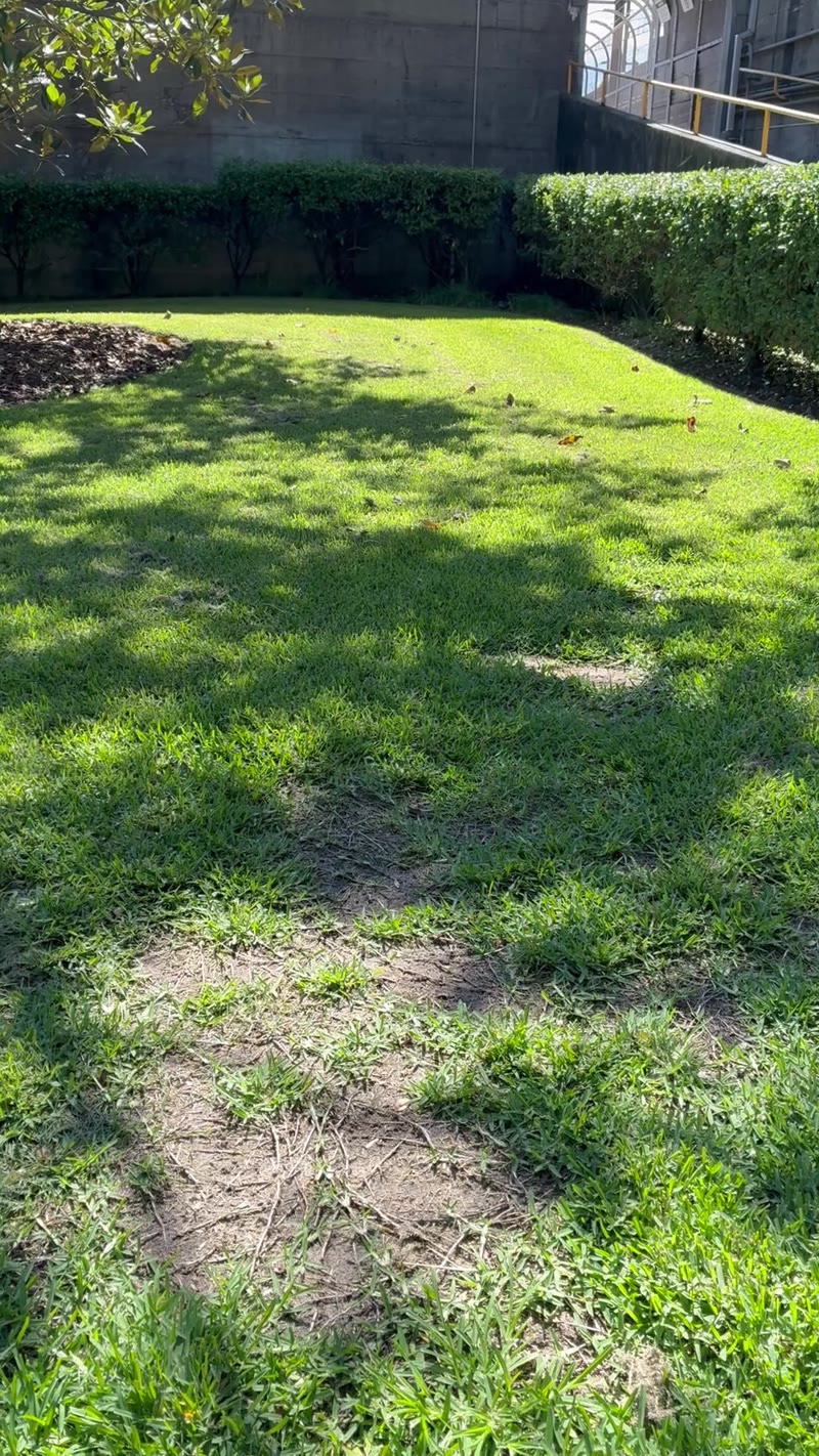 Brenden ride to Sydney harbour bridge