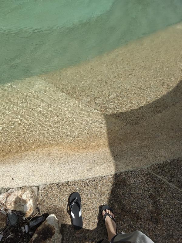 Hamilton island 2025