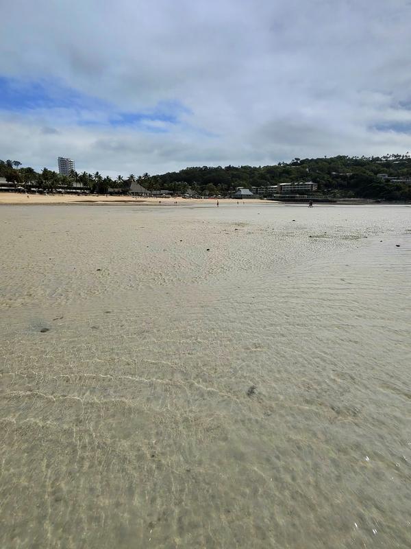 Hamilton island 2025