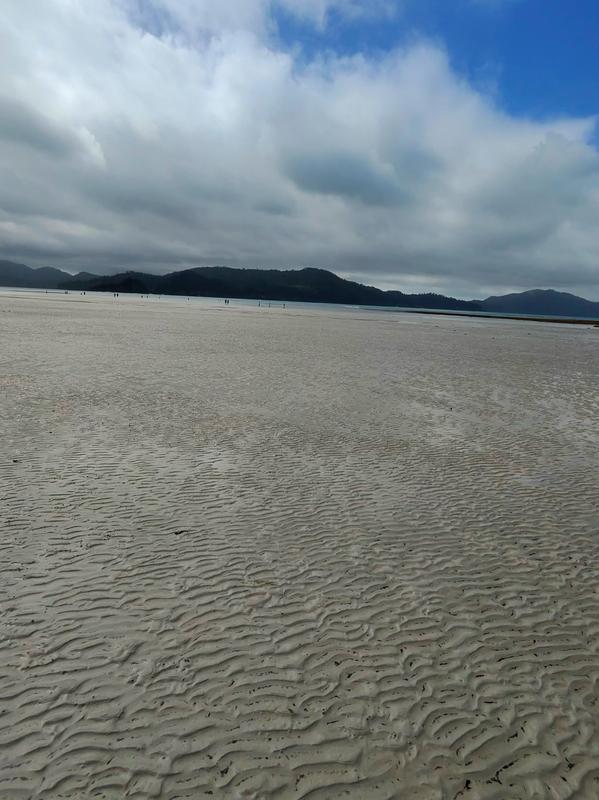 Hamilton island 2025