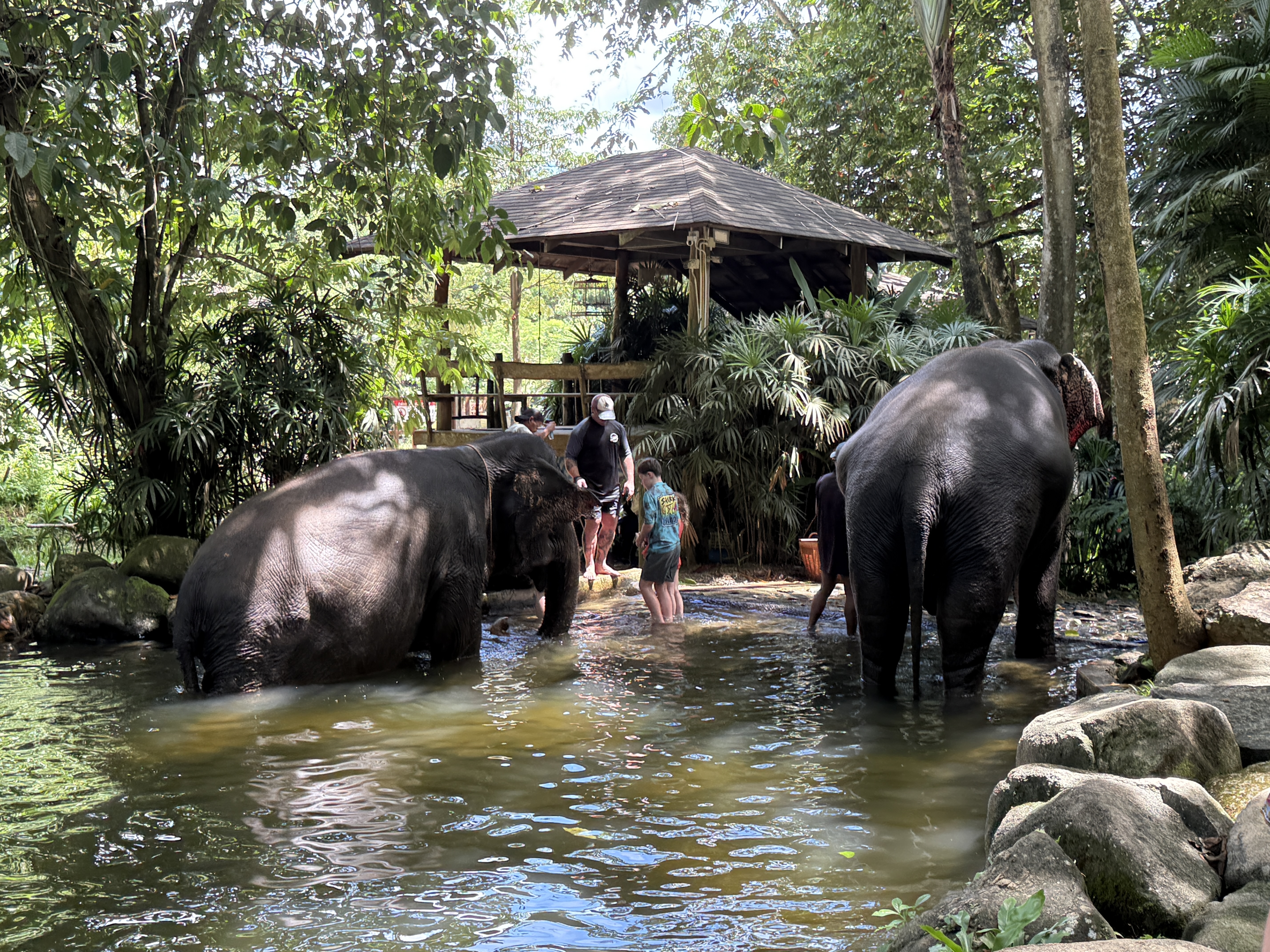 Thailand May 2026