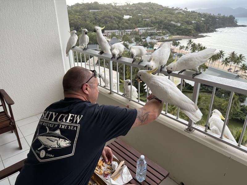 Hamilton island 2025