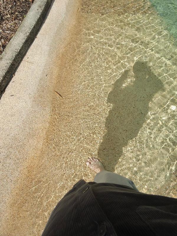 Hamilton island 2025