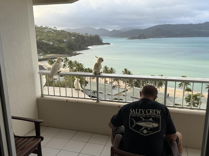 Hamilton island 2025