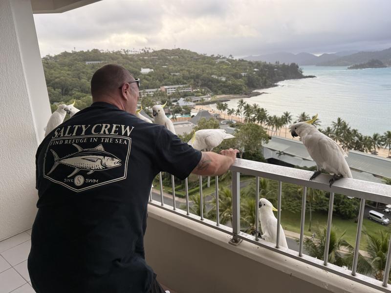 Hamilton island 2025