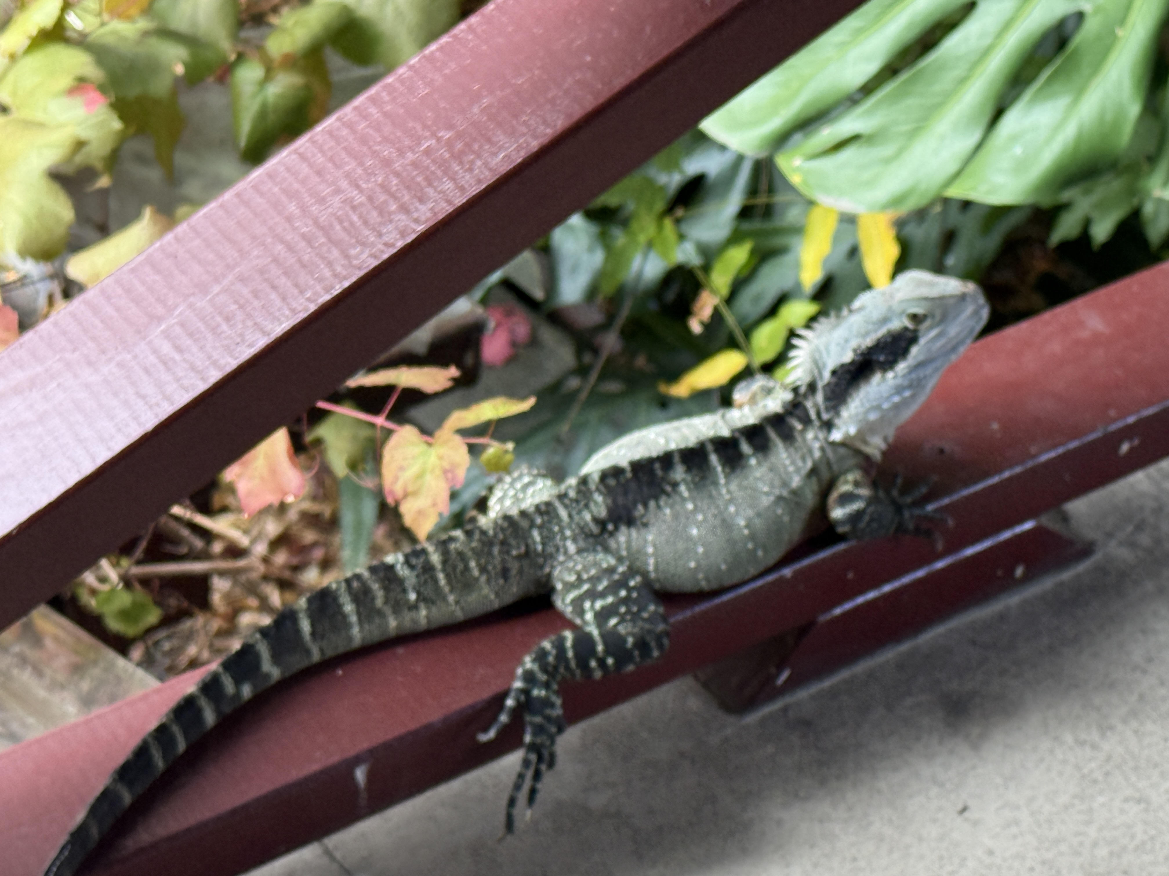 Support day 23/4/26 Morpeth