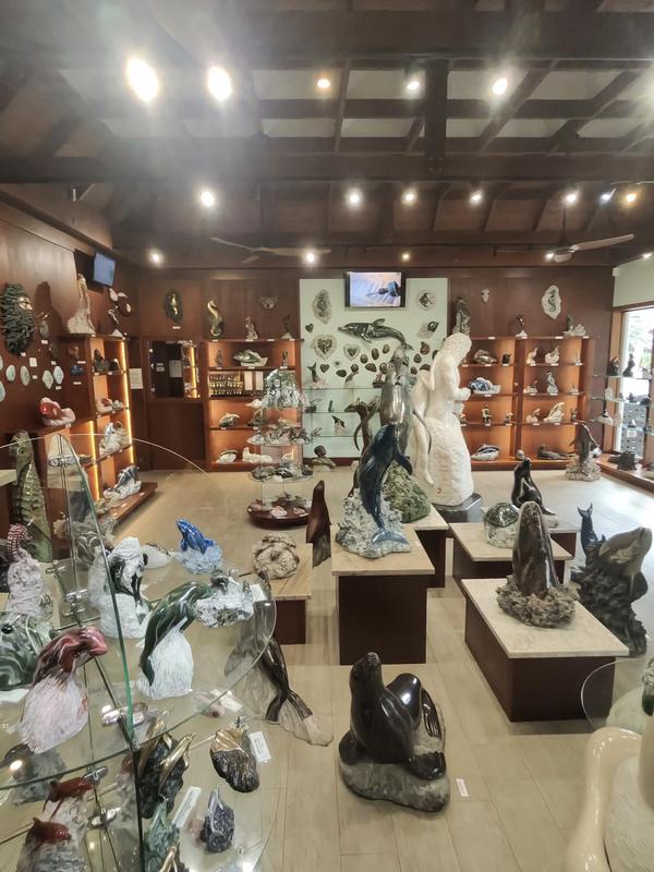 Hamilton island 2025