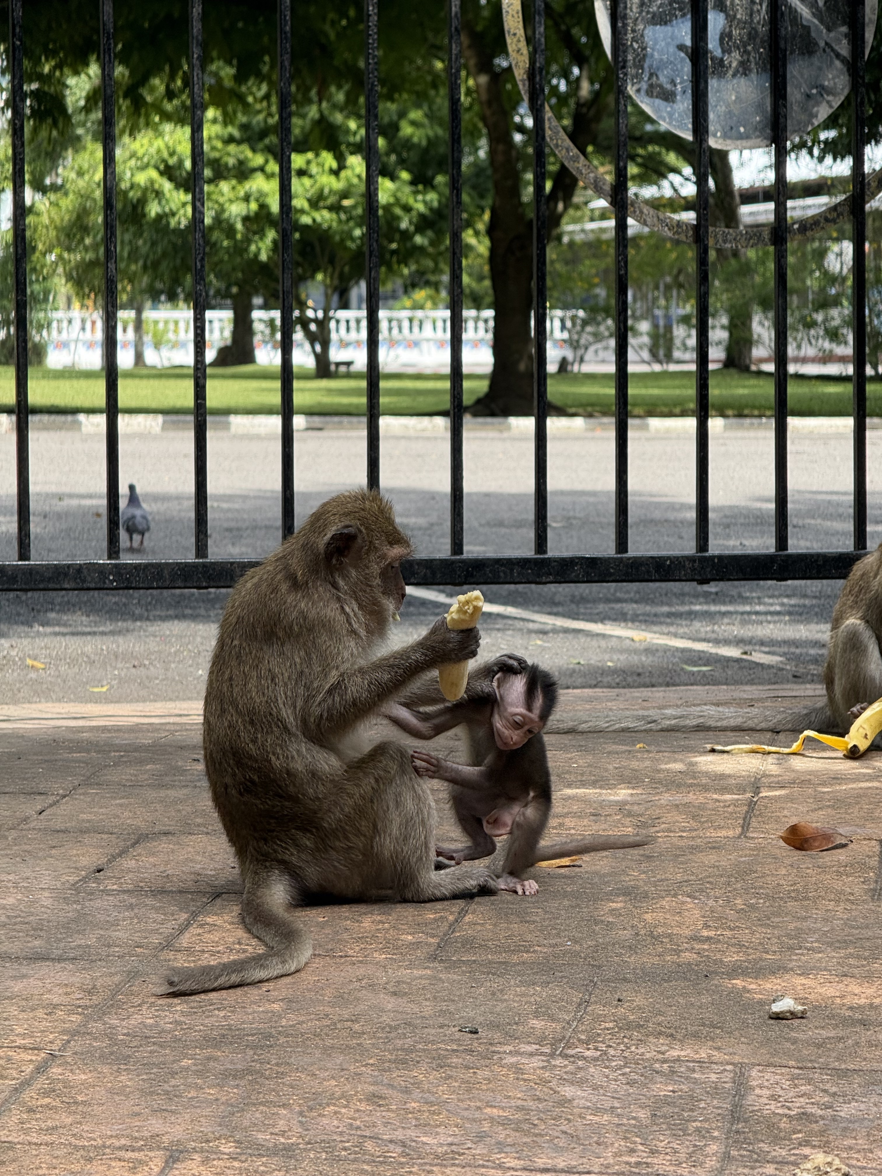 Thailand May 2026