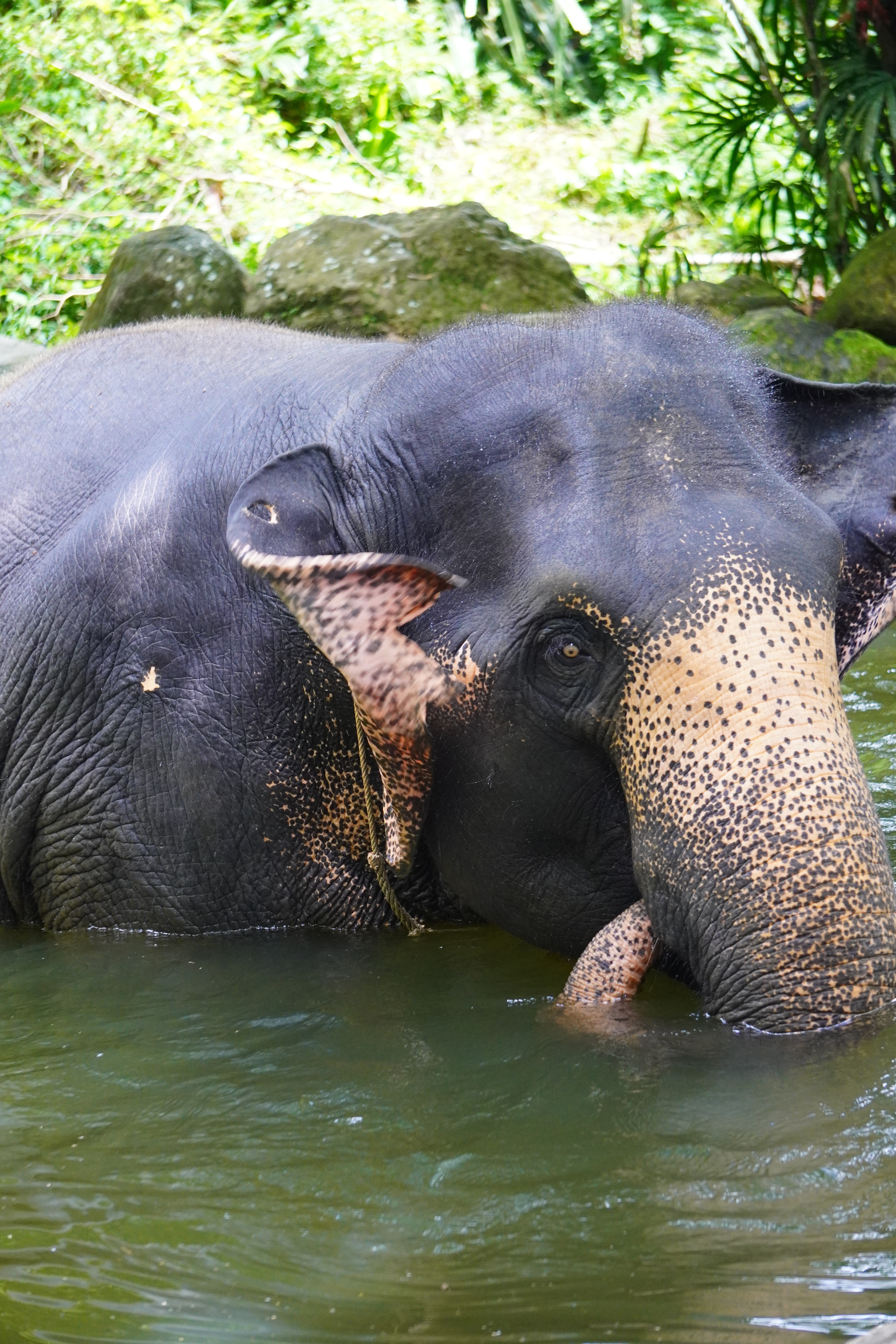 Thailand May 2026