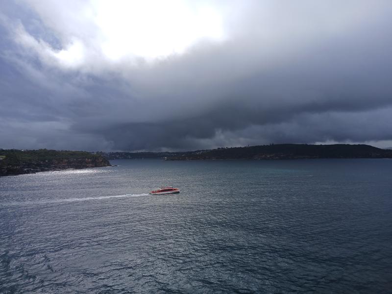 Carnival splendor cruise Feb 2026