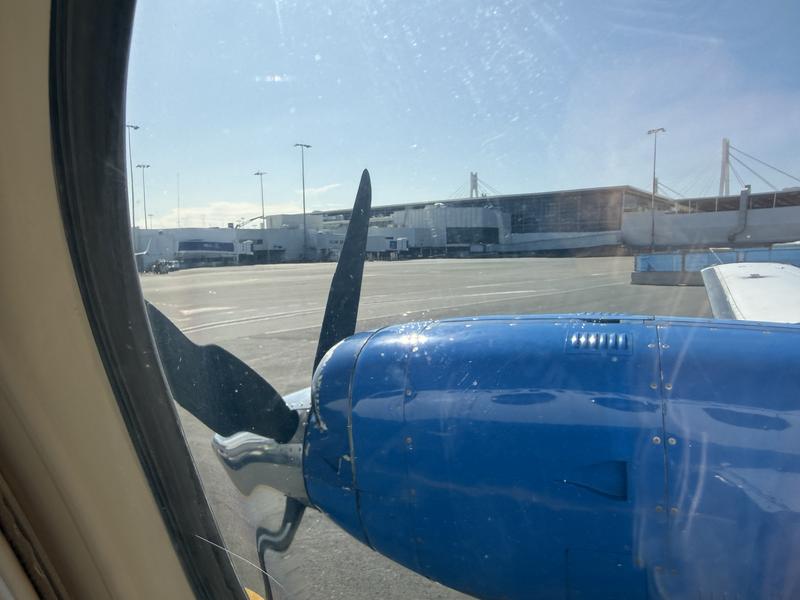 Birthday plane spotting at Sydney airport
