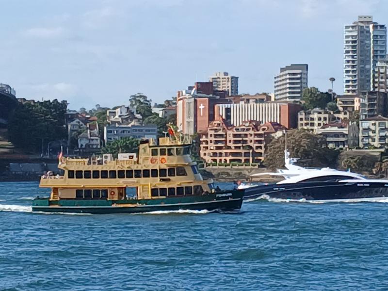 Carnival splendor cruise Feb 2026