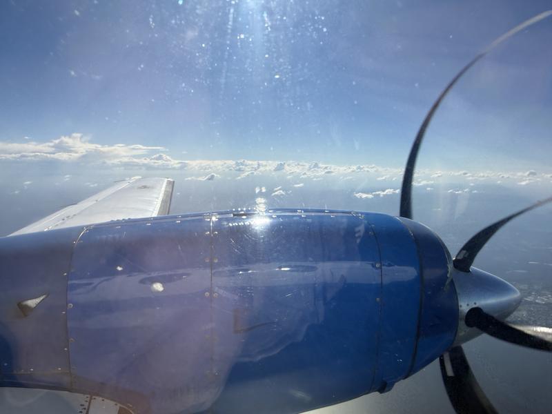 Birthday plane spotting at Sydney airport